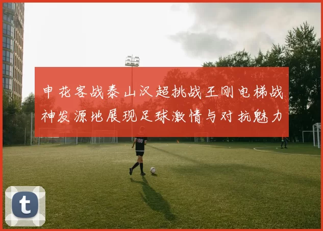 申花客战泰山汉超挑战王刚电梯战神发源地展现足球激情与对抗魅力